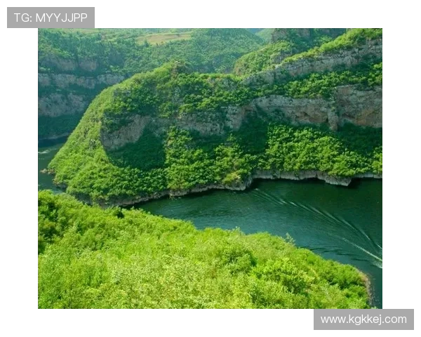 《游泳裁判规则全面解读与竞赛判罚细则解析》